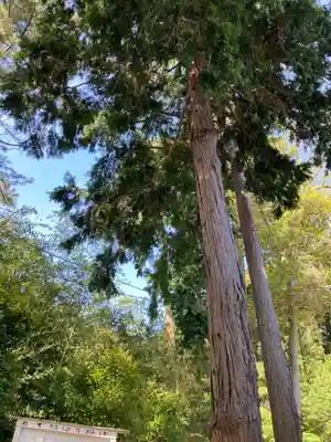 思金神社(神奈川県)