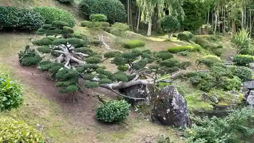 羽黒山　金剛樹院(山形県)