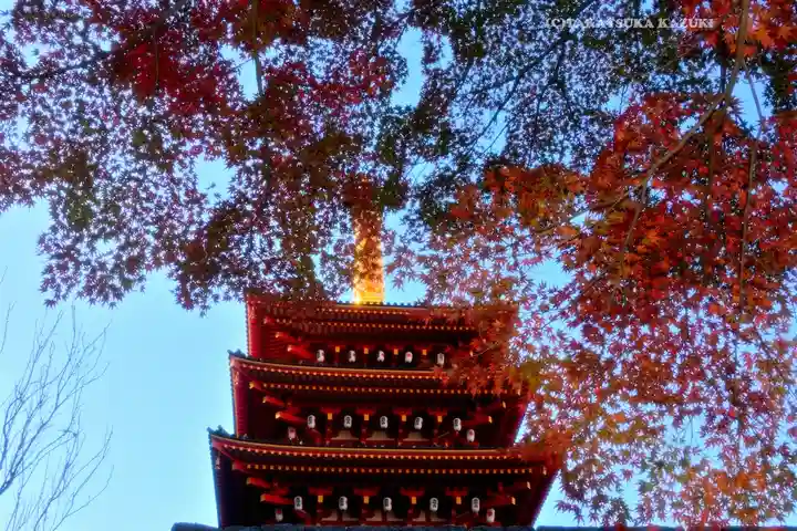 高幡不動尊 金剛寺(東京都)
