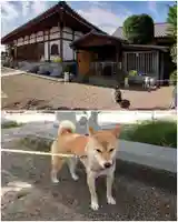 全東院の本殿・本堂