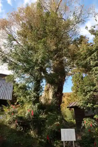 八幡神社(山梨県)