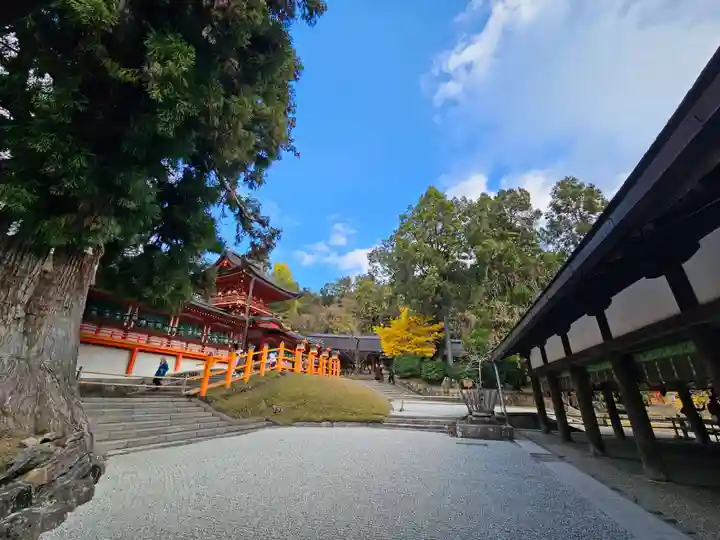 春日大社(奈良県)