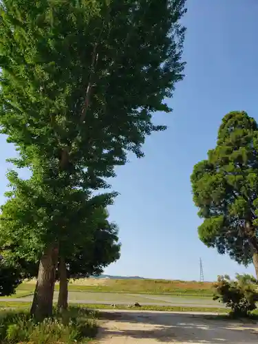 大源神社の景色