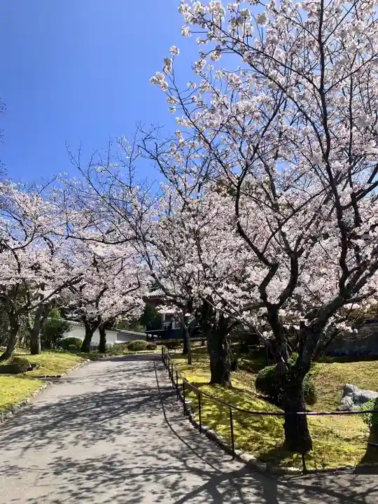獅子王山妙法寺(佐賀県)