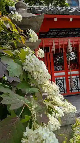 元祇園梛神社・隼神社(京都府)