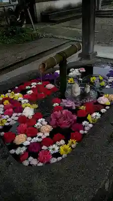 荘内神社の手水舎