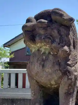 須田神社の狛犬