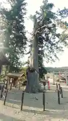 飛騨一宮水無神社(岐阜県)