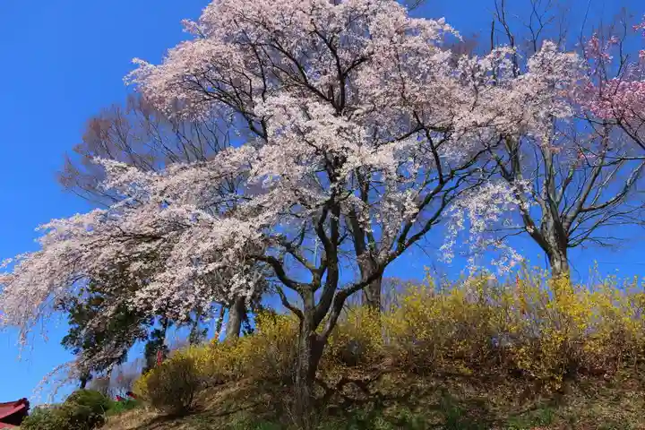 高屋敷稲荷神社の景色