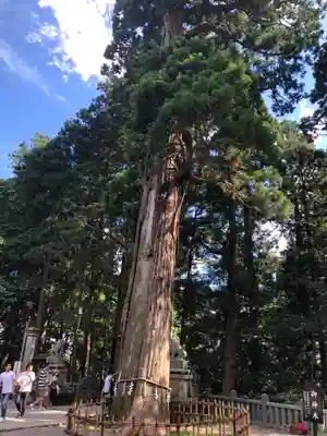 戸隠神社中社(長野県)