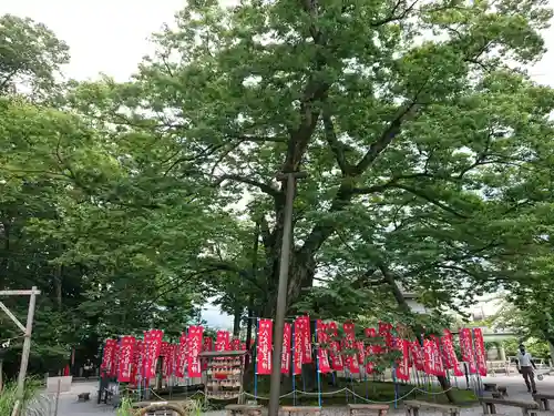 秩父今宮神社の自然