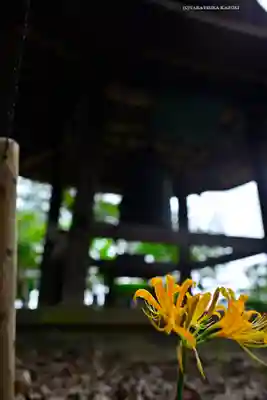 横浜　西方寺(神奈川県)