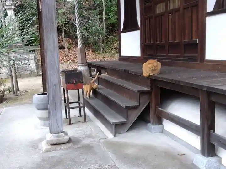 平林寺(兵庫県)
