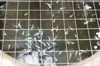 観音寺(福岡県)