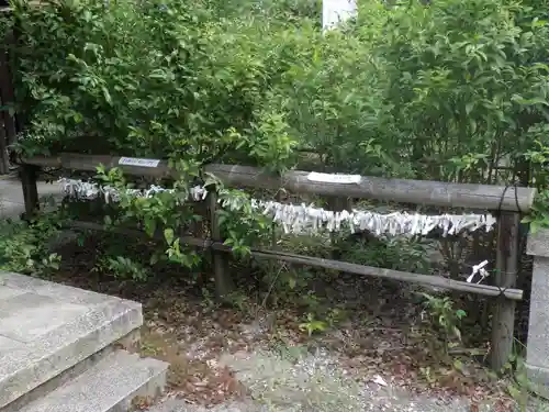 新熊野神社のおみくじ