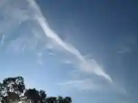 屋久島大社の自然