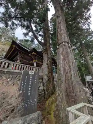 三峯神社(埼玉県)