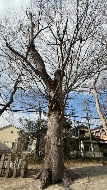 人麿神社(奈良県)