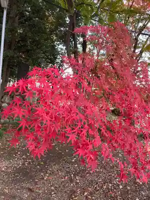 貴船神社(岐阜県)