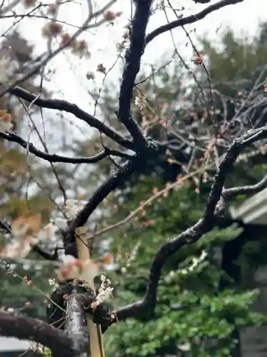 神戸神社（前鳥神社境内社）(神奈川県)