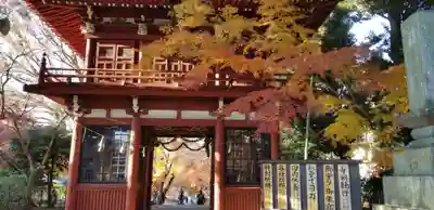 本土寺の山門・神門