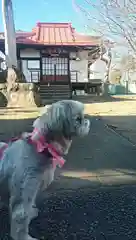 常泉寺の動物