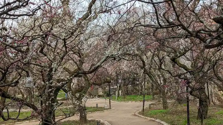 北野天満宮(京都府)