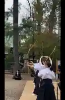 武蔵一宮氷川神社の{uncategorized: "未分類", other: "その他", undefined: "問題あり", building: "その他建物", grave: "お墓", sacred_gate: "鳥居", guardian: "狛犬", statue: "像", buddha: "仏像", history: "歴史", nature: "自然", garden: "庭園", animal: "動物", pagoda: "塔", temizu: "手水舎", mountain_gate: "山門・神門", sanctuary: "本殿・本堂", subordinate: "末社・摂社", art: "芸術", scenery: "景色", jizo: "地蔵", ema: "絵馬", goshuin: "御朱印", omikuji: "おみくじ", items: "授与品その他", amulet: "お守り", goshuincho: "御朱印帳", eats: "食事", festival: "お祭り", votive_dance: "神楽", shichigosan: "七五三参", wedding: "結婚式", experience: "体験その他", initially: "初詣", around: "周辺", anti_infection: "感染症対策"}