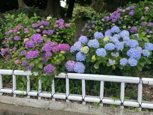 性海寺(愛知県)