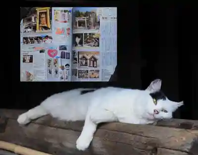 「関東版・猫の御朱印&お守りめぐり」とシロちゃん