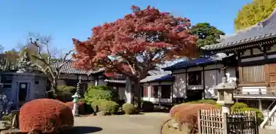 國分寺のその他建物