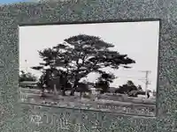 ふしぎ松稲荷大明神(千葉県)