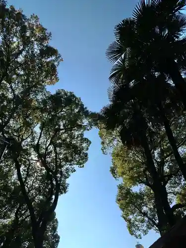 上野大佛(東京都)