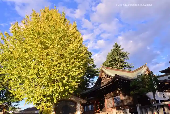 尾久八幡神社(東京都)