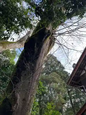 水分神社(滋賀県)