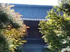 樹源寺の本殿