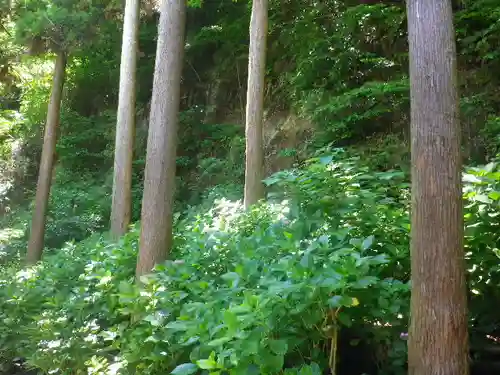 御霊神社の自然