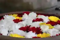 上尾御嶽神社の手水舎