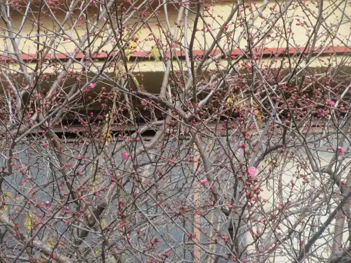 妙経寺(東京都)