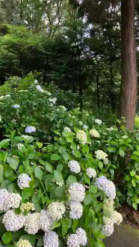 吉備津神社の自然