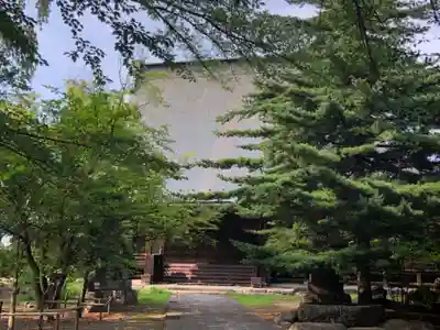 専称寺(山形県)