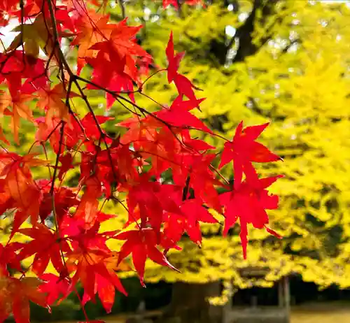 大山寺(徳島県)