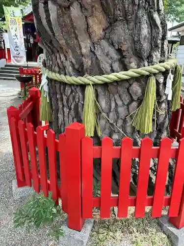 鴻神社のその他建物