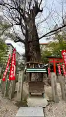 杭全神社(大阪府)