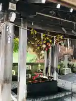 熊野大社の手水舎