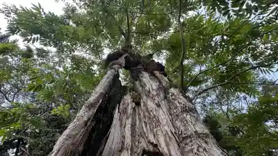 森本神社(兵庫県)