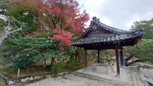 仁和寺の{uncategorized: "未分類", other: "その他", undefined: "問題あり", building: "その他建物", grave: "お墓", sacred_gate: "鳥居", guardian: "狛犬", statue: "像", buddha: "仏像", history: "歴史", nature: "自然", garden: "庭園", animal: "動物", pagoda: "塔", temizu: "手水舎", mountain_gate: "山門・神門", sanctuary: "本殿・本堂", subordinate: "末社・摂社", art: "芸術", scenery: "景色", jizo: "地蔵", ema: "絵馬", goshuin: "御朱印", omikuji: "おみくじ", items: "授与品その他", amulet: "お守り", goshuincho: "御朱印帳", eats: "食事", festival: "お祭り", votive_dance: "神楽", shichigosan: "七五三参", wedding: "結婚式", experience: "体験その他", initially: "初詣", around: "周辺", anti_infection: "感染症対策"}