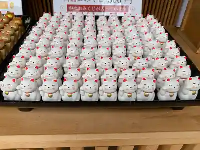 酒列磯前神社のおみくじ