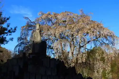 州伝寺の仏像