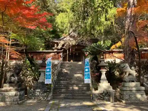 白岩丹生神社の本殿・本堂